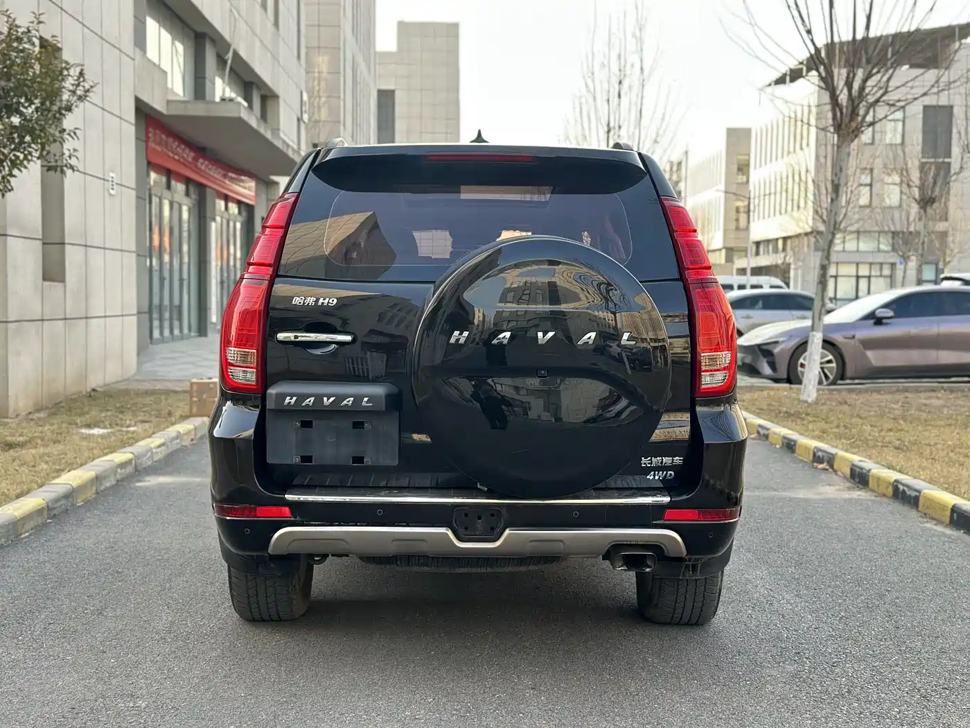 Haval H9 2017 2.0T Gasoline 4WD Premium 7-Seater фото 5