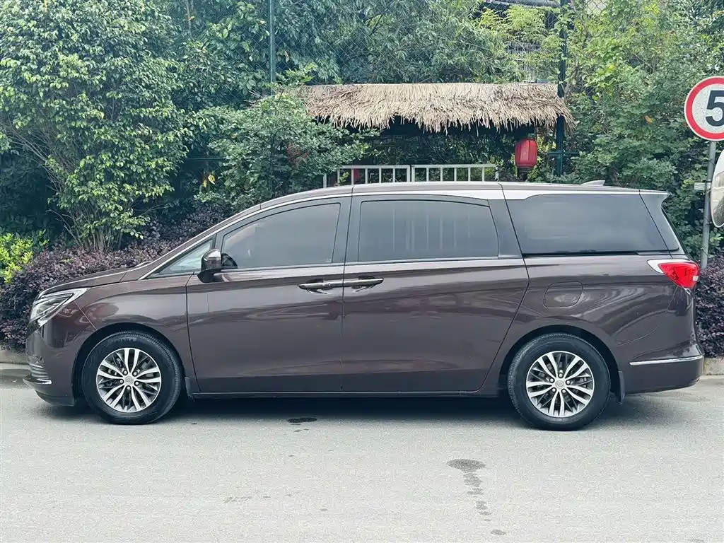 Buick GL8 2018 ES 28T Luxury Type China VI фото 7
