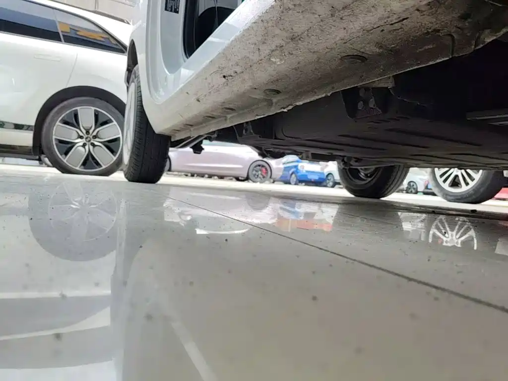 Geely Galaxy Panda 2025 2025 Panda mini 210km Vitality Bear