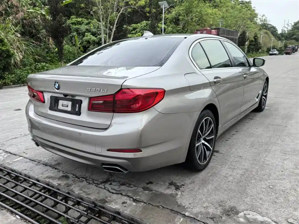 BMW 5 Series 2018 528Li Launch Special Edition фото 3