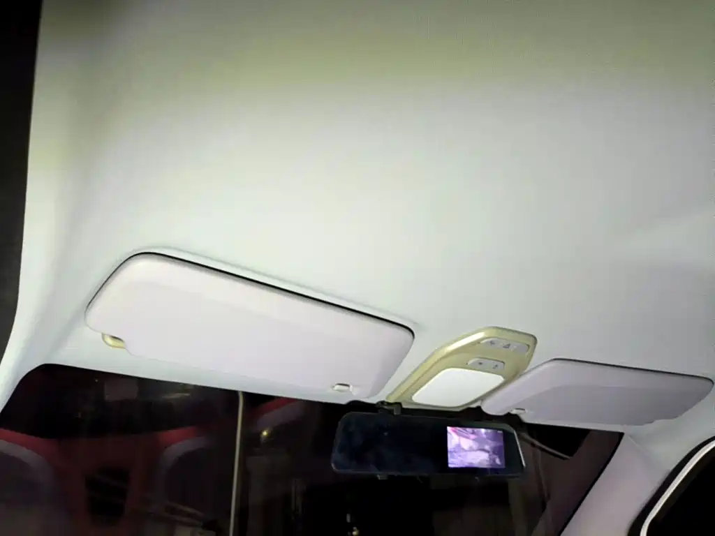 Baojun E200 2020 2019 250KM Smart Enjoy Edition