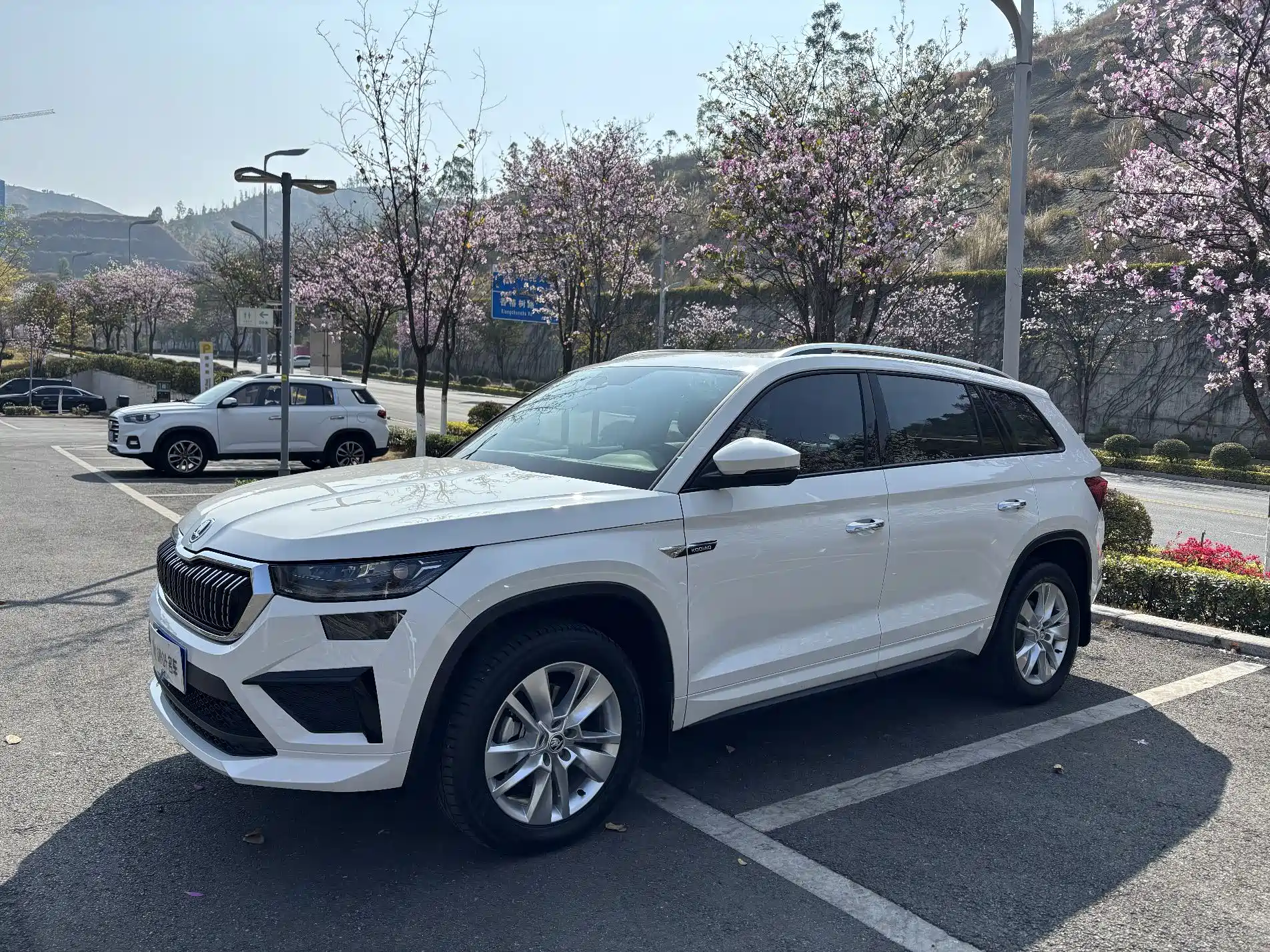 Фото 1 - Škoda Kodiaq