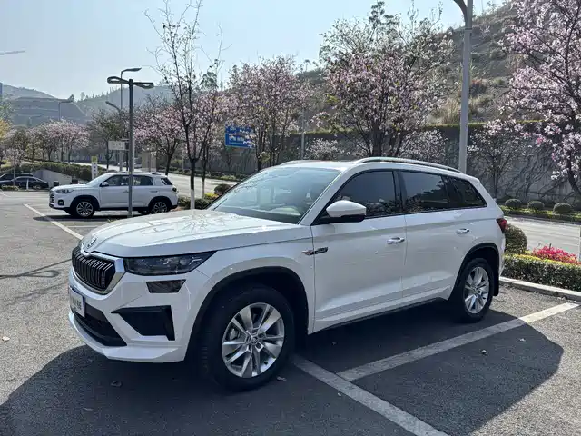  Škoda Kodiaq 2025 TSI330 5-Seater FWD Capability Edition