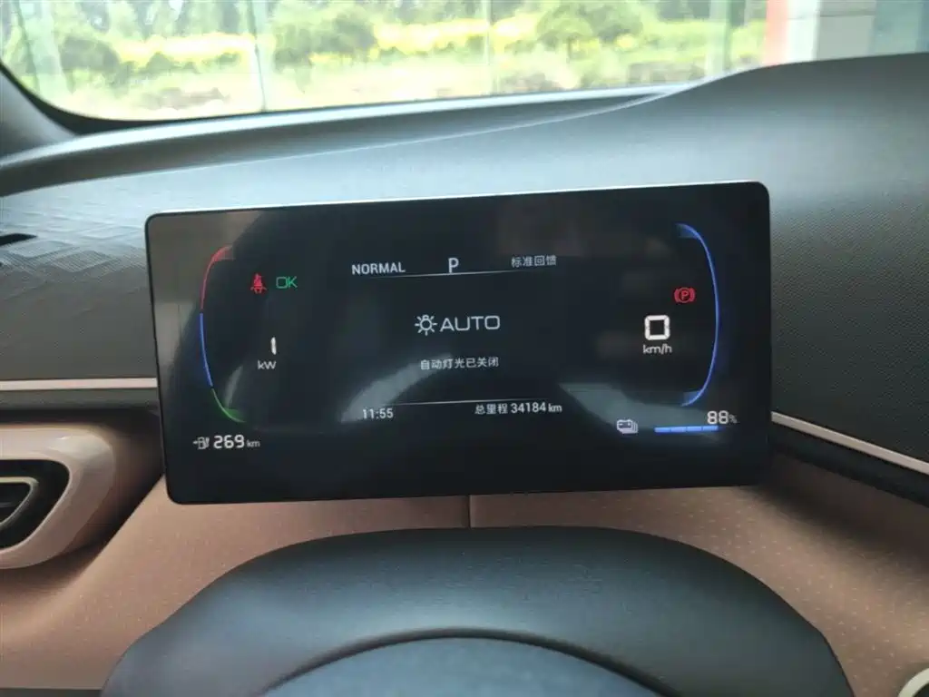 BYD Seagull 2023 Vitality Edition фото 12