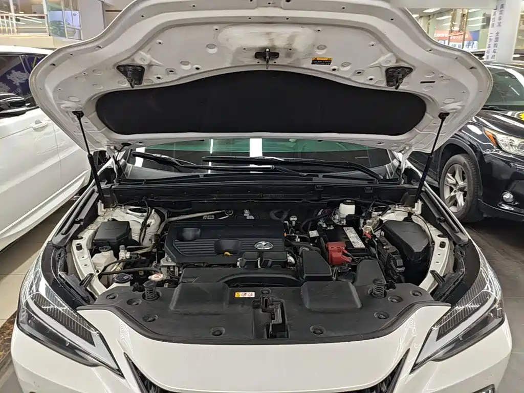 Photo 20 - Lexus NX