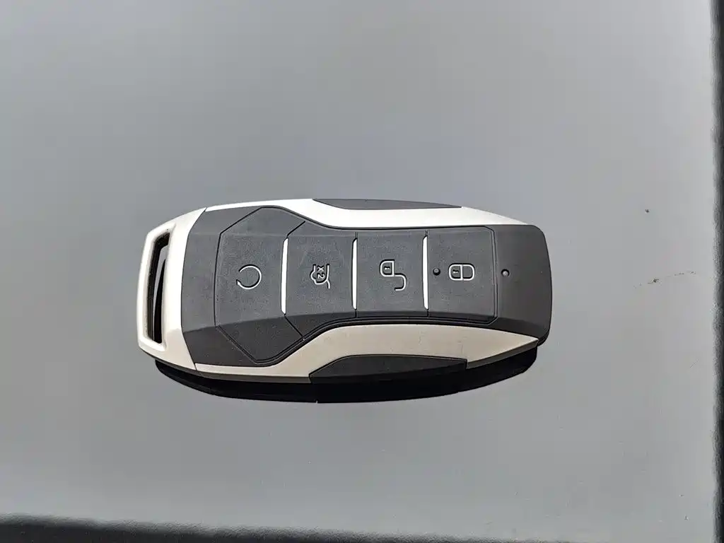 BYD Han 2020 2020 EV Extended Range Premium
