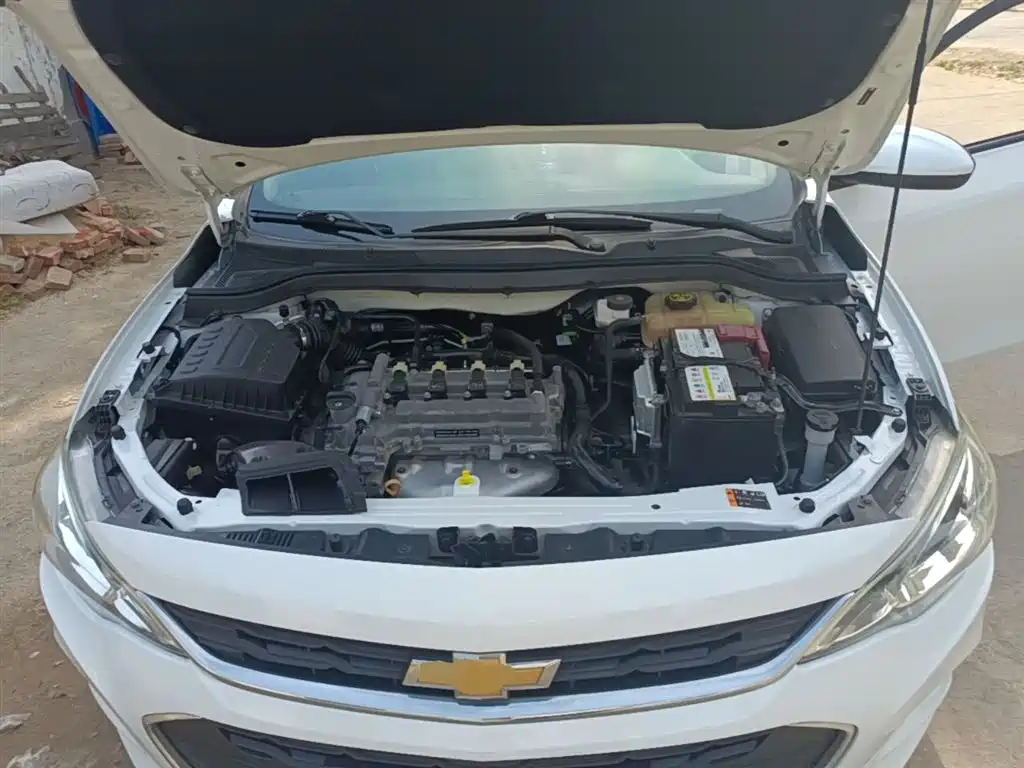 Chevrolet Cavalier 2018 320 Auto Enjoy Sunroof Edition фото 20