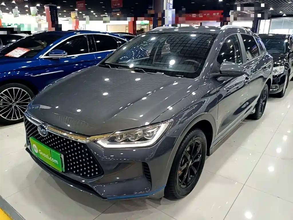 BYD e2 2019 Long Range Yao·Luxury Model