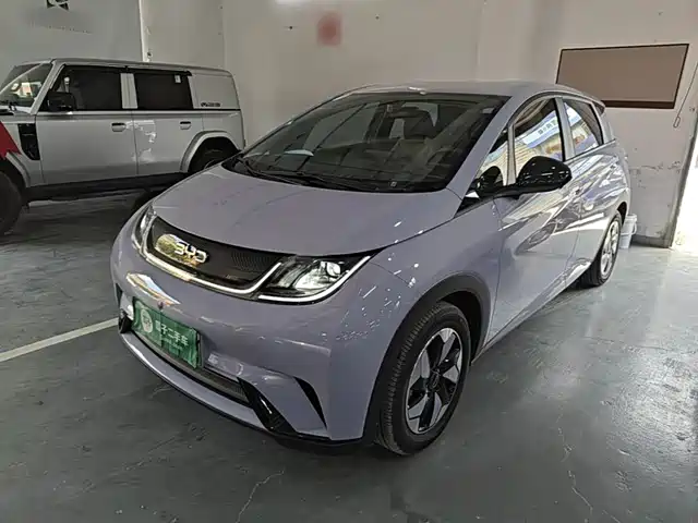  BYD Dolphin 2024 Glory Edition 420km Freedom Edition