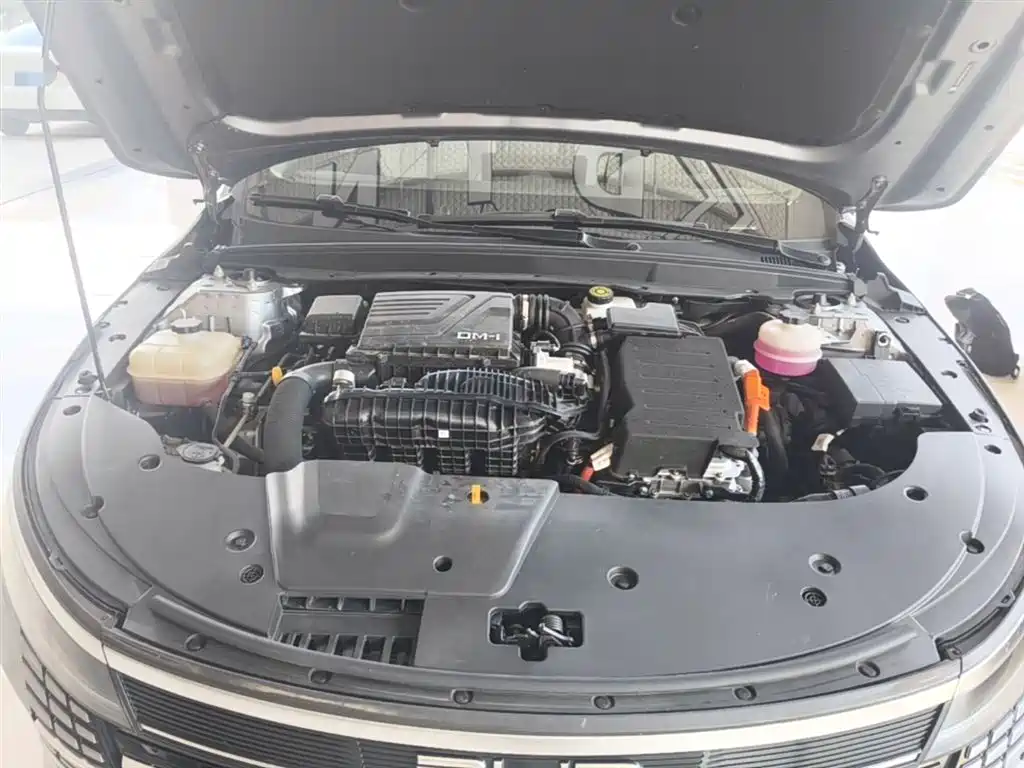 BYD Destroyer 05 2023 Champion Edition DM-i 55KM Luxury фото 20