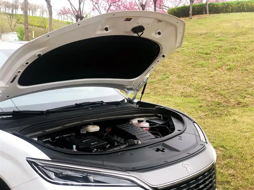 BYD Song L DM-i 2025 Smart Drive 160km Premium фото 11