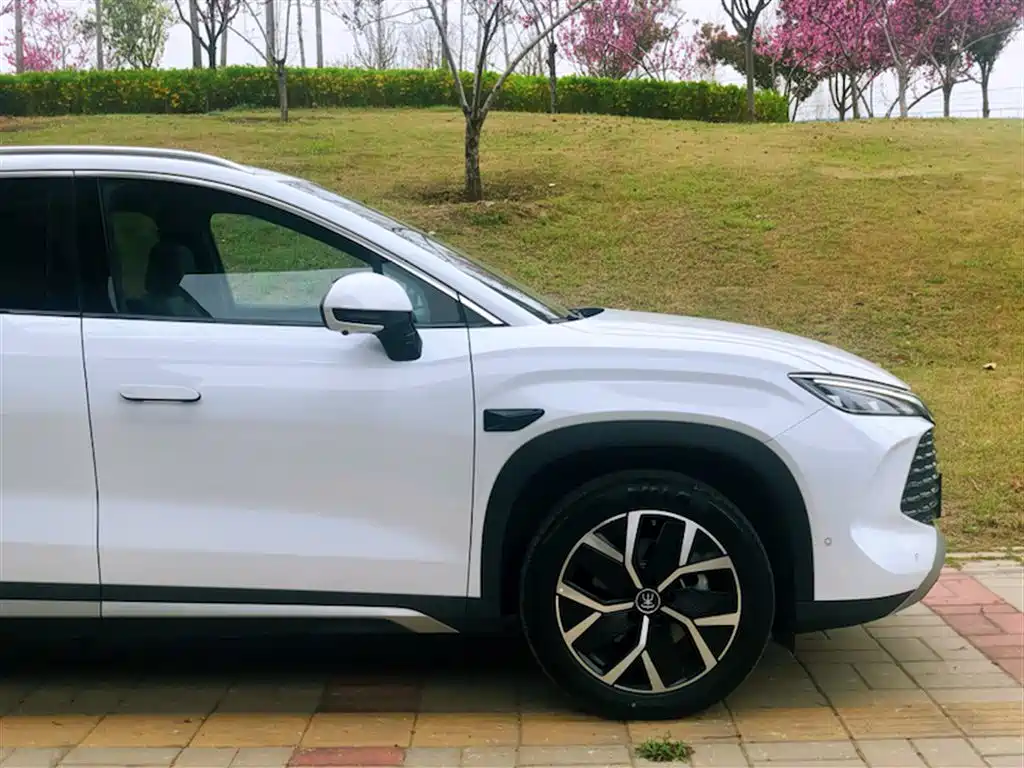 BYD Song L DM-i 2025 Smart Drive 160km Premium фото 24