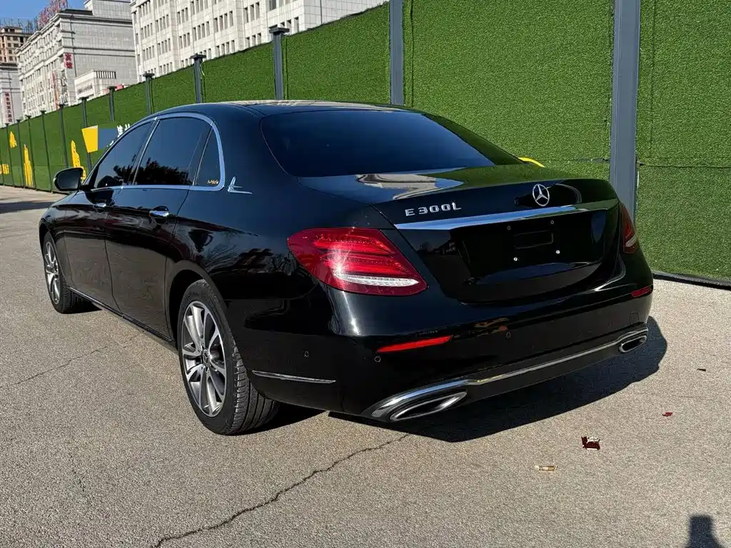 Mercedes-Benz E-Class 2019 Facelift E 300 L Luxury фото 6