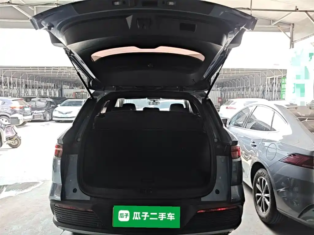 BYD Song Pro New Energy 2024 Glory Edition DM-i 71KM Pilot фото 19