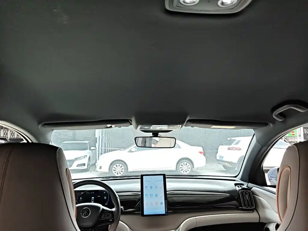 BYD Song Pro New Energy 2024 Glory Edition DM-i 71KM Pilot фото 18