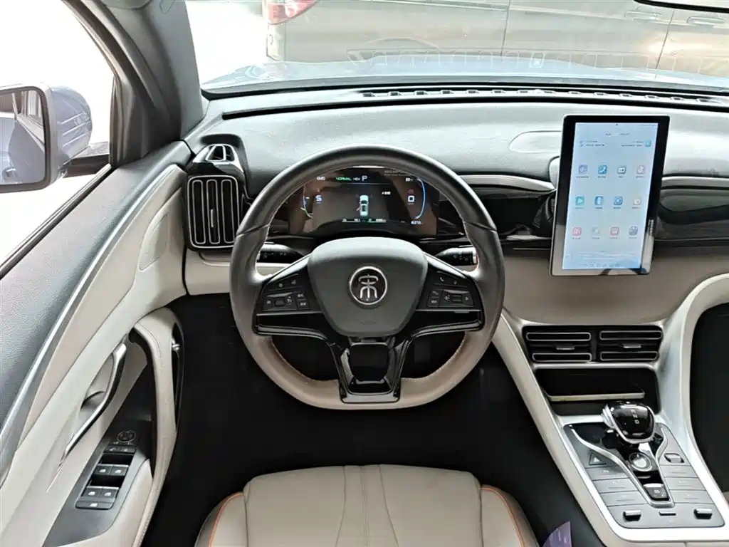 BYD Song Pro New Energy 2024 Glory Edition DM-i 71KM Pilot фото 11