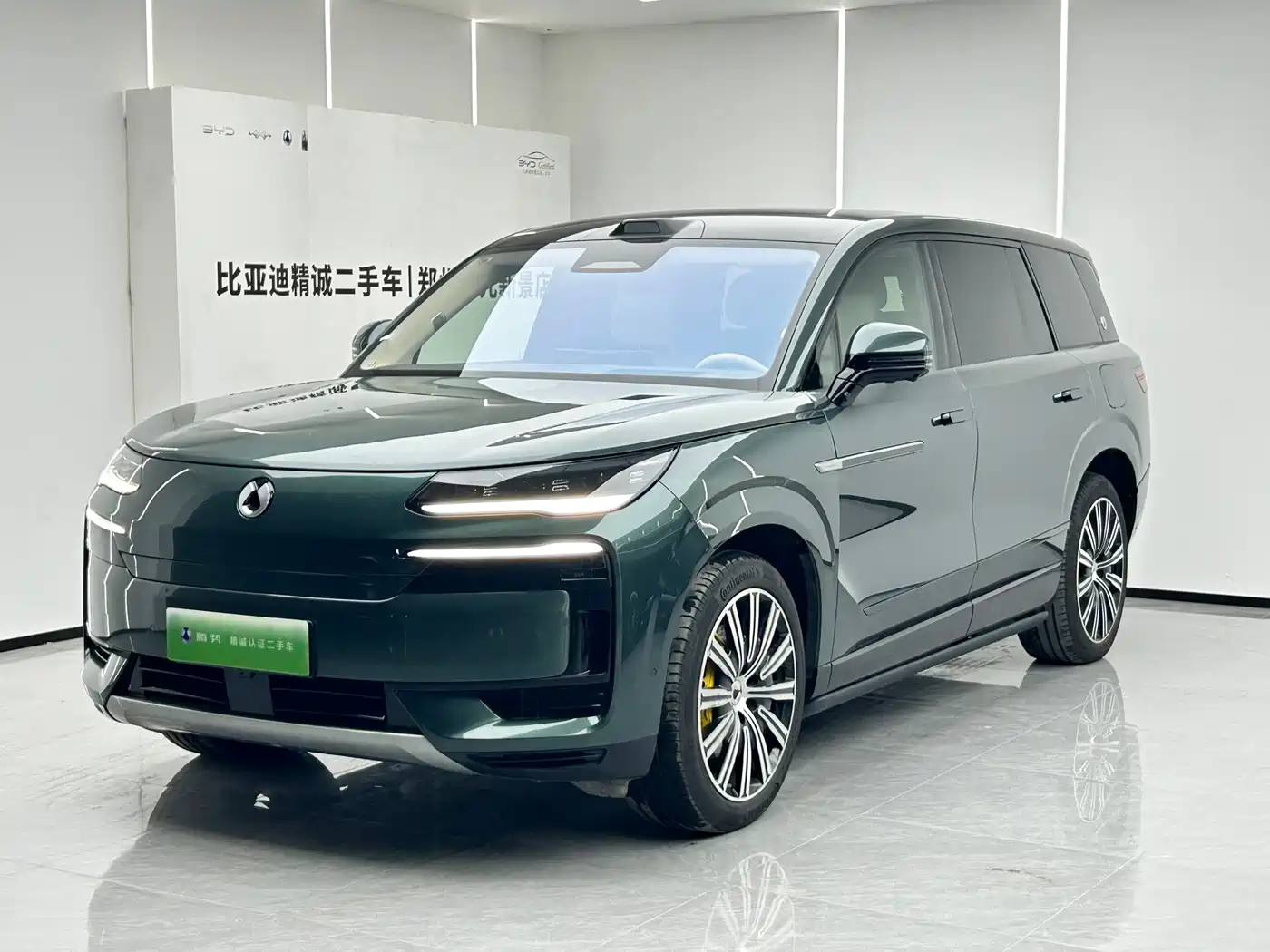 2026 Denza N9