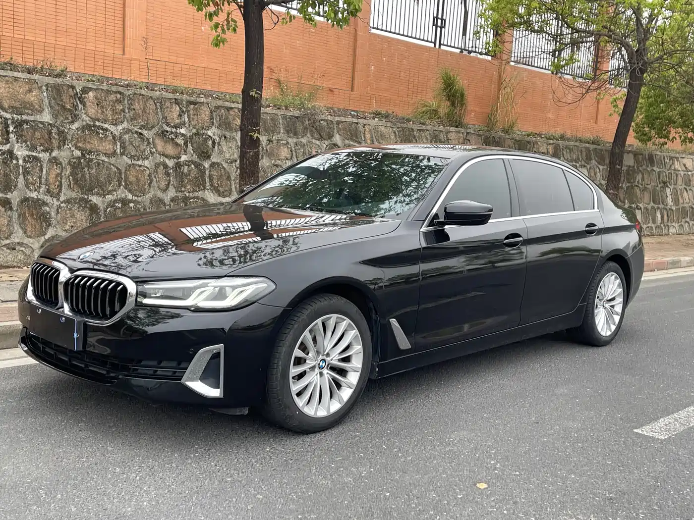 BMW 5 Series 2021 525Li Luxury Package