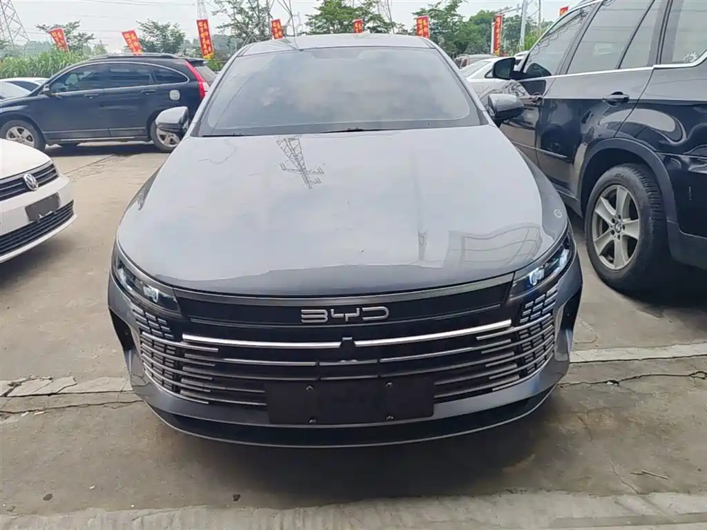 BYD Destroyer 05 2023 Champion Edition DM-i 55KM Luxury фото 3