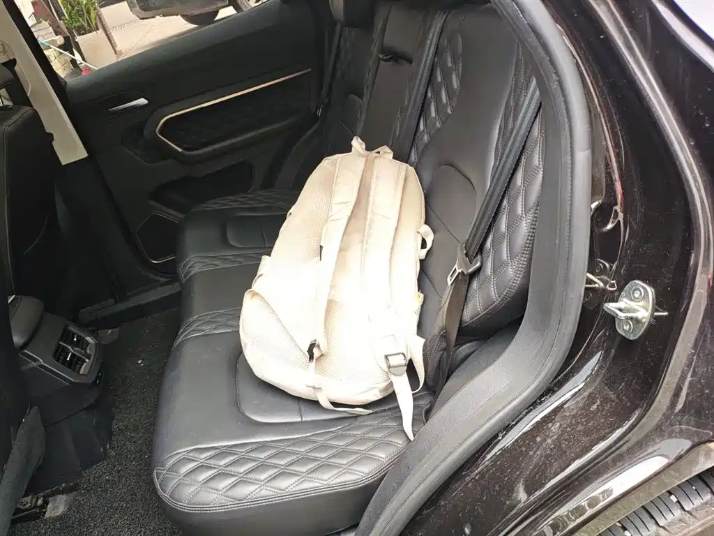 Haval H6 2020 1.5GDIT Automatic Platinum Champion Edition фото 15
