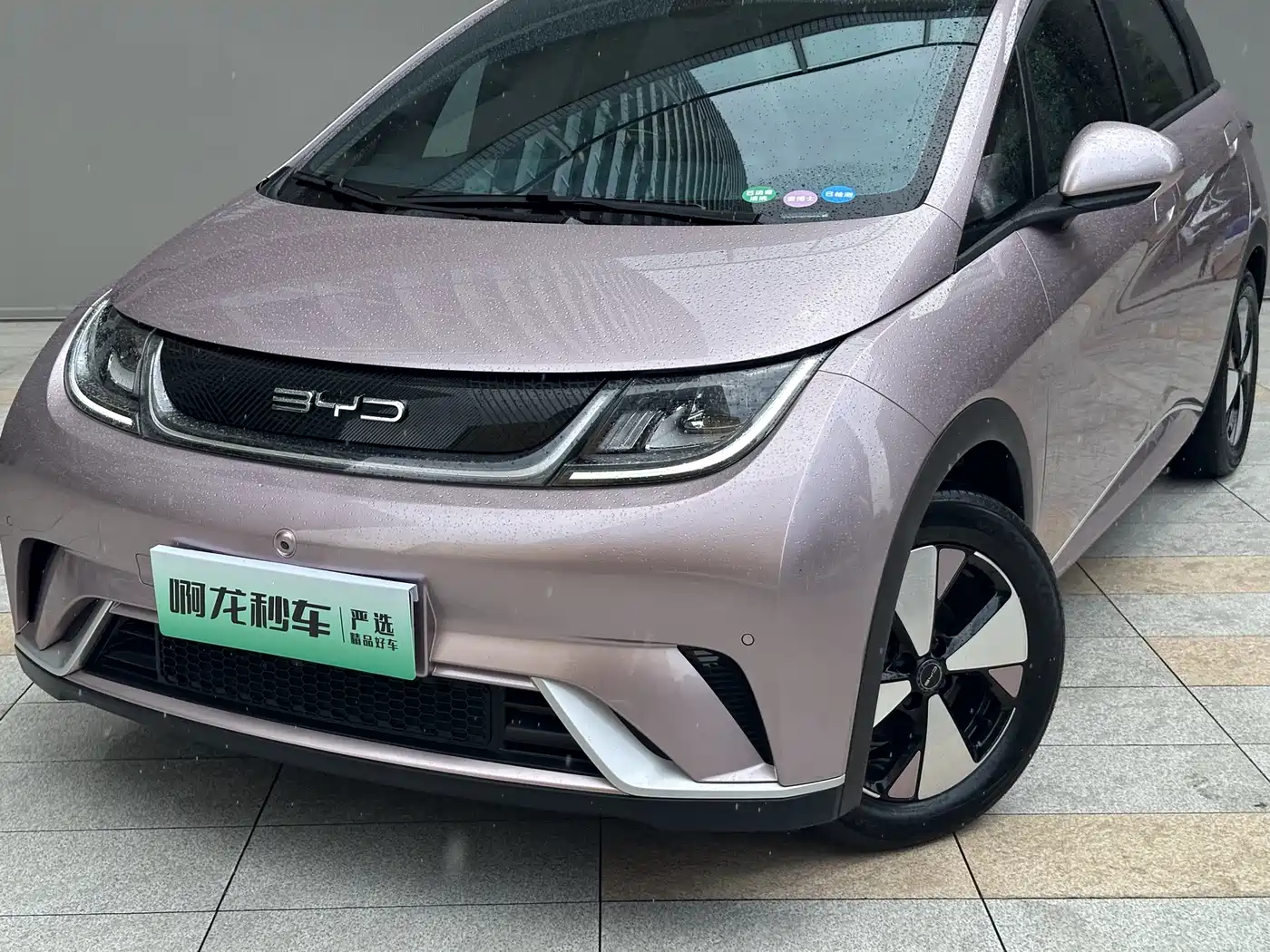 BYD Dolphin 2023 420km Fashion Edition фото 2