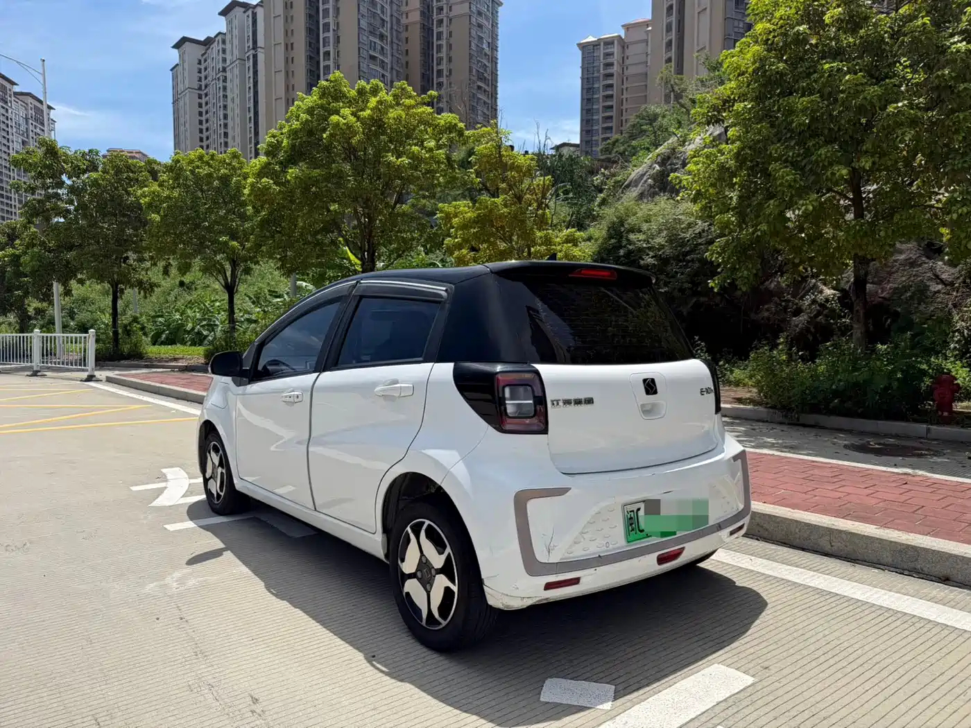 Sehol Flower Fairy 2021 2021 302km Surpass Edition 31.4kWh