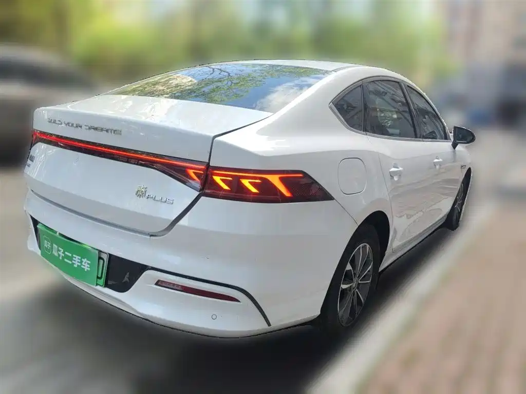 BYD Qin PLUS 2024 Glory Edition DM-i 55KM Leading фото 5