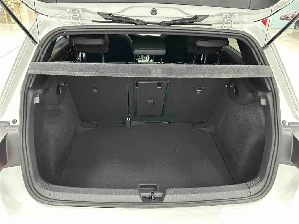 Volkswagen Golf 2021 280TSI DSG R-Line фото 16