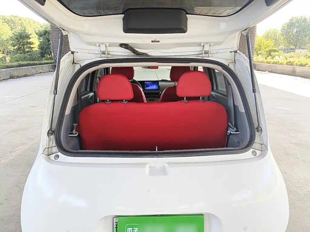 Ora White Cat 2021 2020 305km Luxury