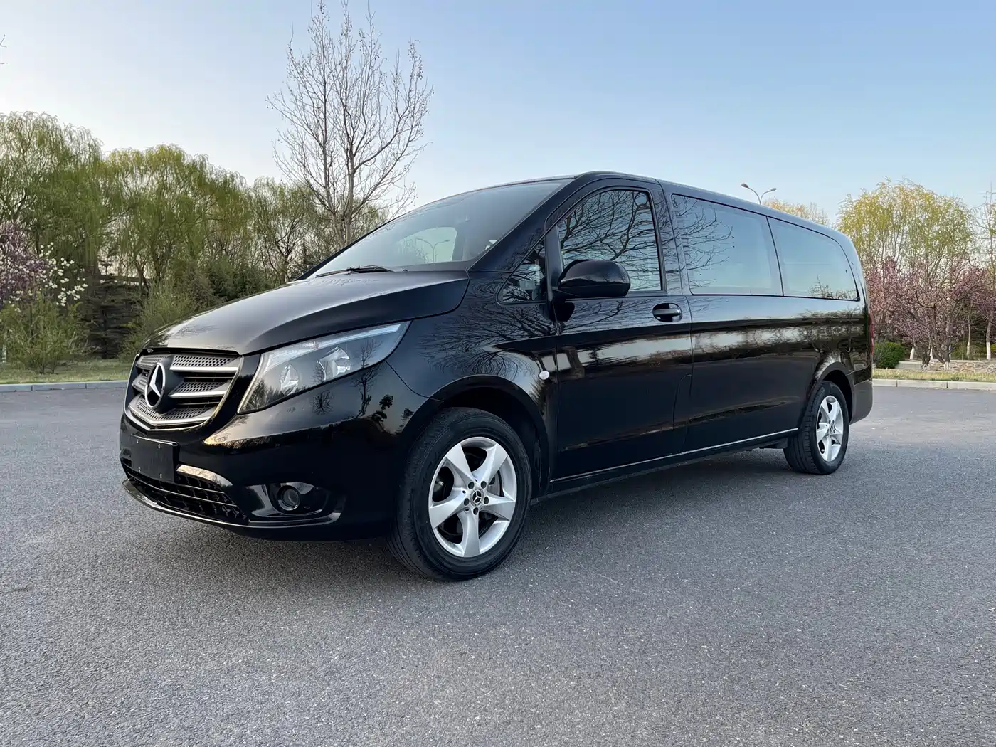Mercedes-Benz Vito 2021 2.0T Elite 9-Seater фото 2