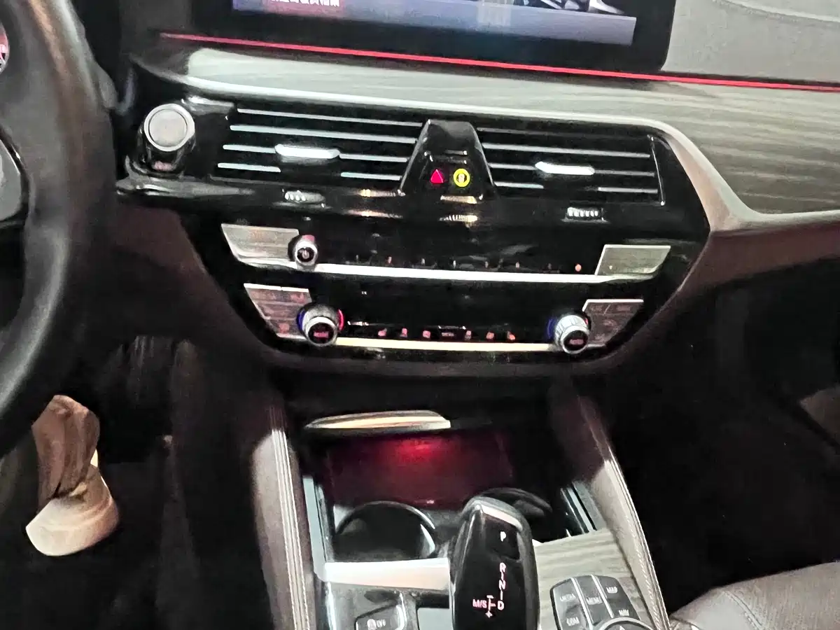 BMW 5 Series 2023 530Li Leading Luxury Package фото 4