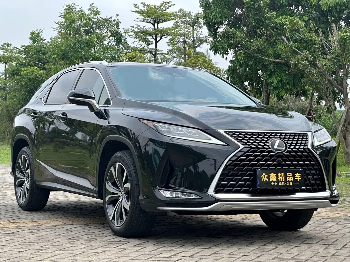 LEXUS RX