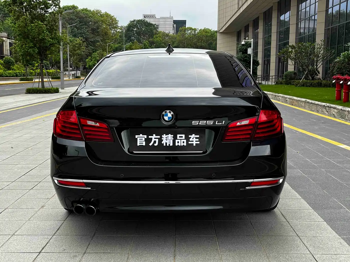BMW 5 Series 2014 525Li Luxury Design Package фото 8