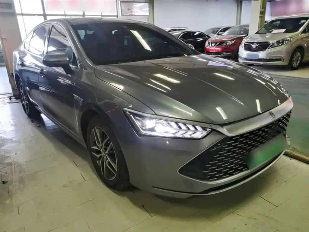 BYD Qin PLUS 2024 Glory Edition DM-i 55KM Surpass фото 4
