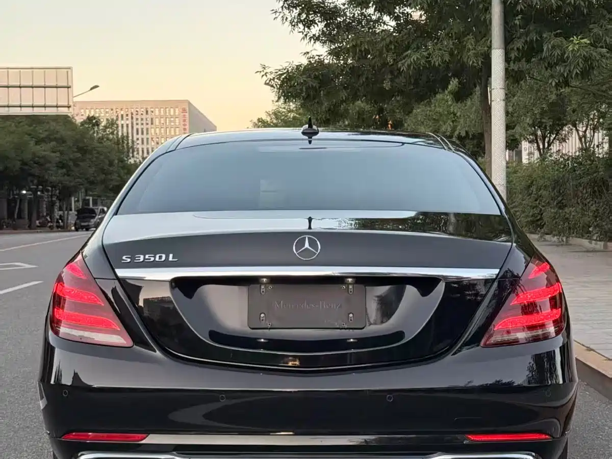Mercedes-Benz S-Class 2019 S 350 L Luxury фото 4