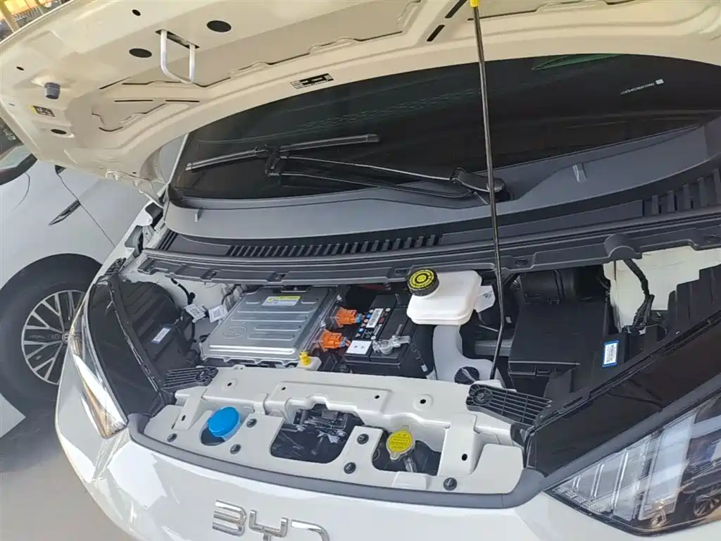 BYD Seagull 2024 Glory Edition 305km Vitality Edition фото 19
