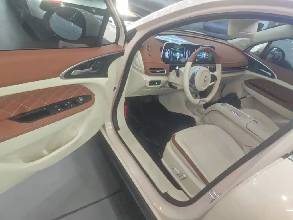 Ora Good Cat 2024 2023 401km Standard Range Luxury LFP