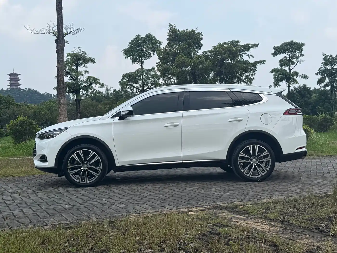 Фото 5 - BYD Tang