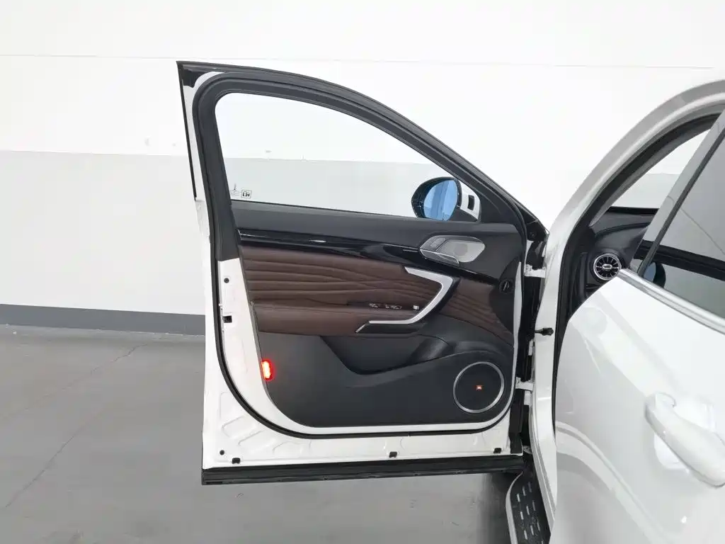 WEY P8 2018 2018 2.0T Flagship Model