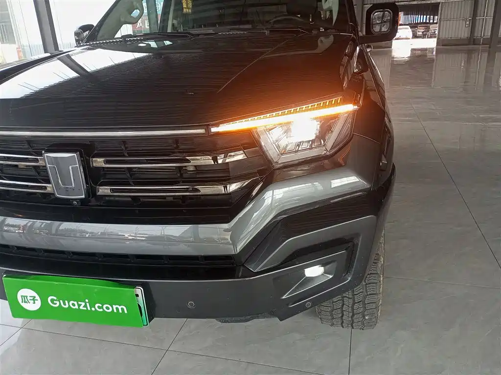Tank 400 New Energy 2024 Hi4-T Off-Road Edition фото 18