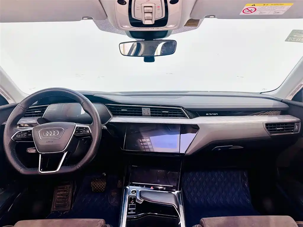 Audi e-tron 2021 50 quattro Exclusive Selection фото 7
