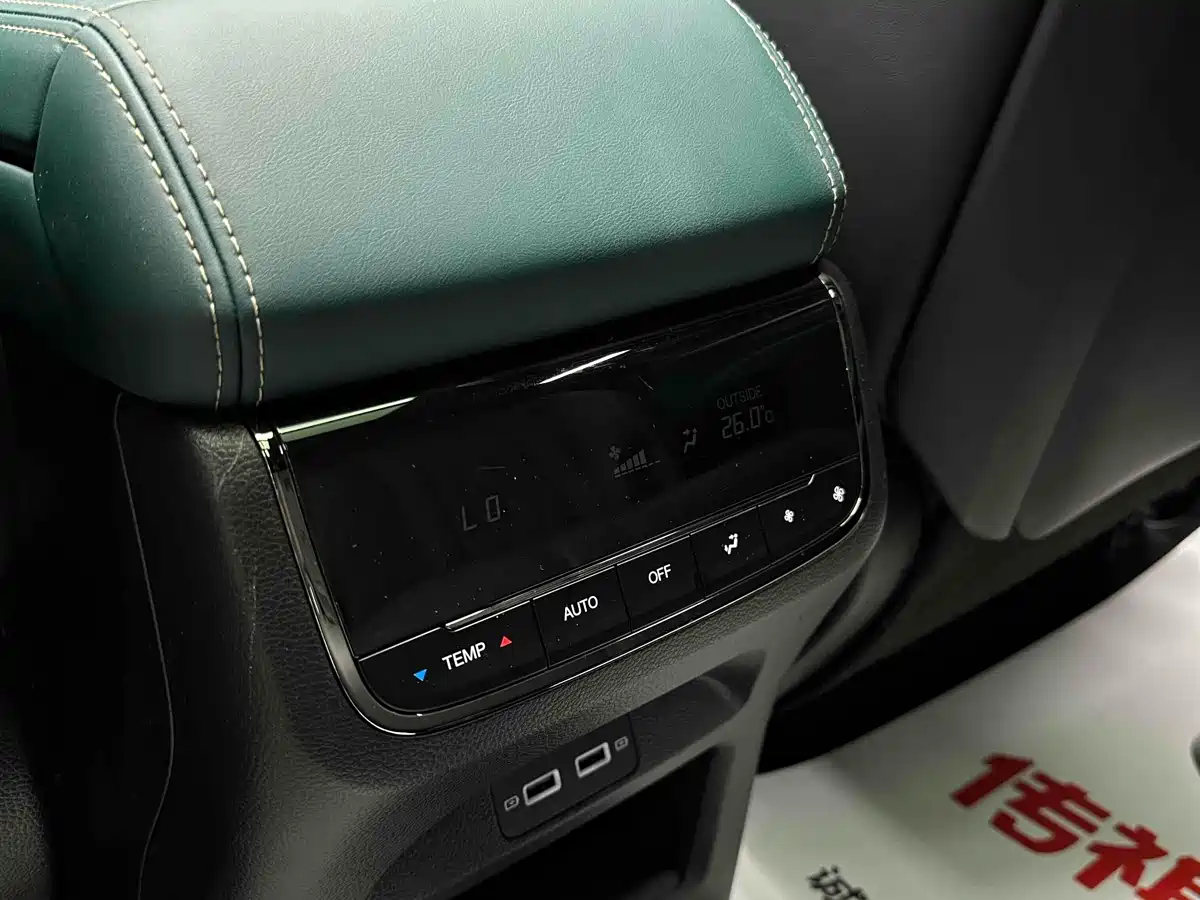 GAC Trumpchi Trumpchi GS8 2024 Dual Engine Series 2.0TM 4WD Premium Edition фото 33