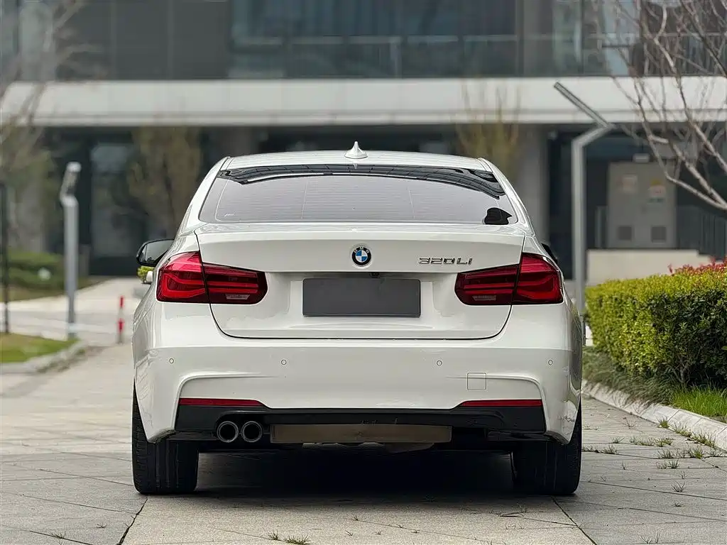 BMW 3 Series 2019 320Li M Sport Black Night Edition фото 5