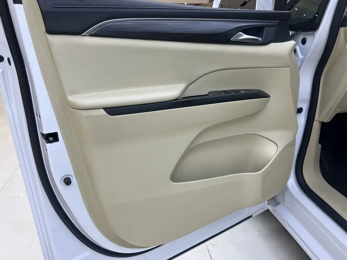 Buick GL8 2023 ES Landmaster Exclusive фото 9