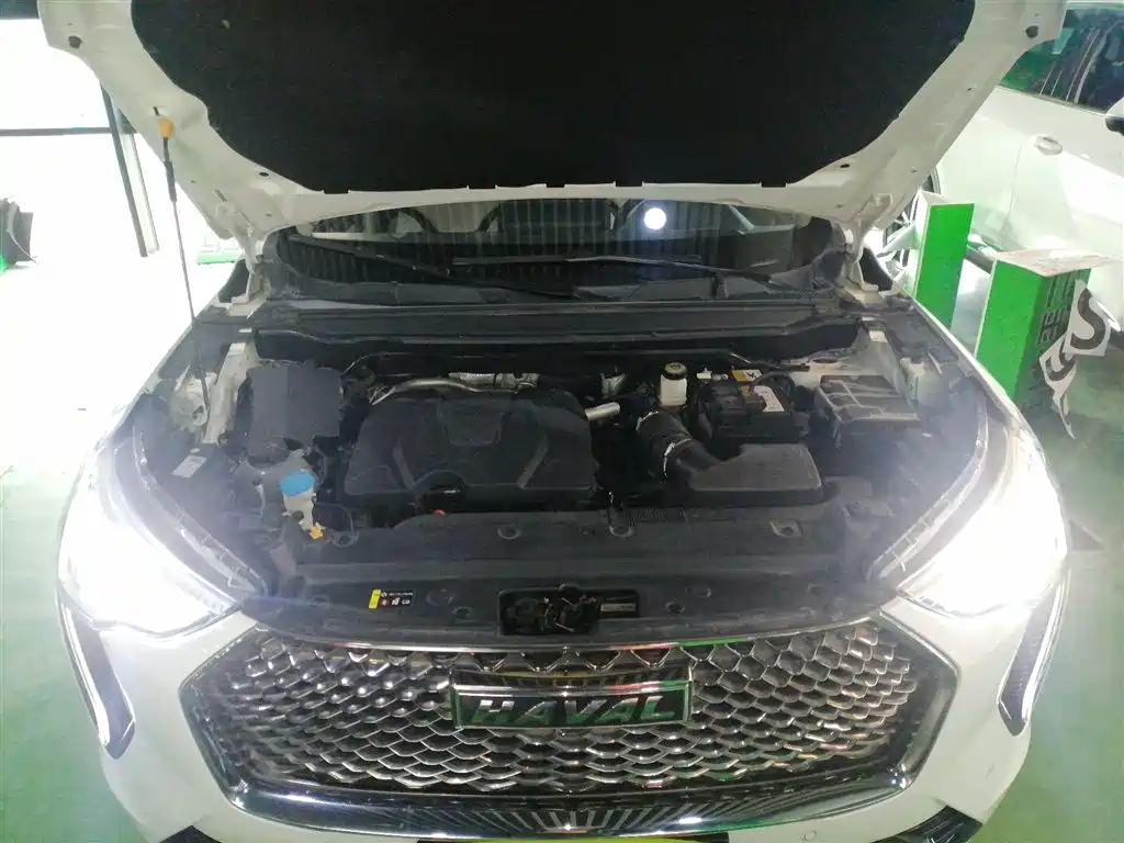 Haval First Love 2021 1.5T Automatic Premium Edition фото 16