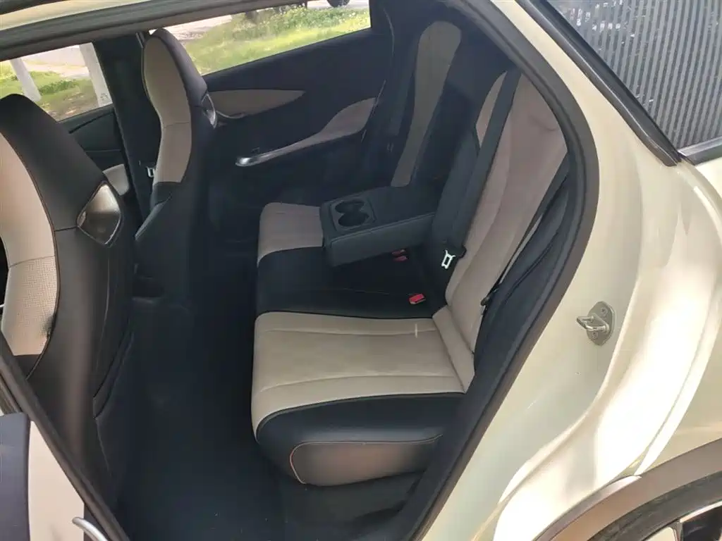 BYD Dolphin 2023 420km Fashion Edition фото 17