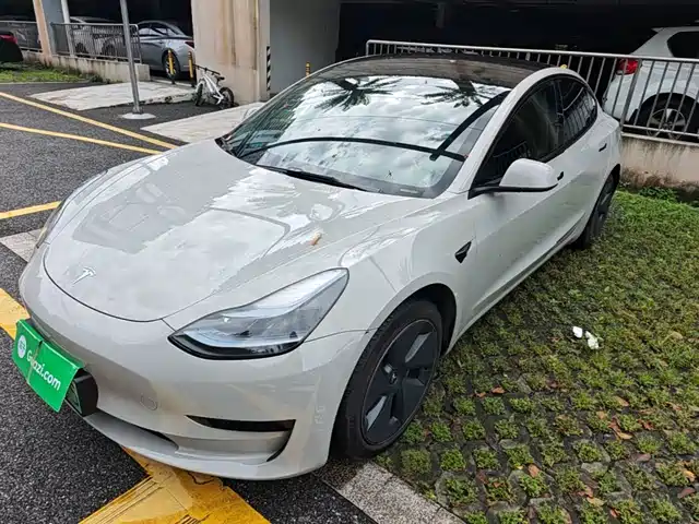 Tesla Model 3 Задний привод