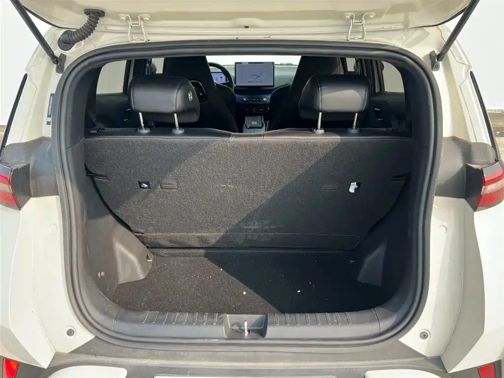 BYD Seagull 2025 Smart Drive Edition 305km Freedom Version фото 18