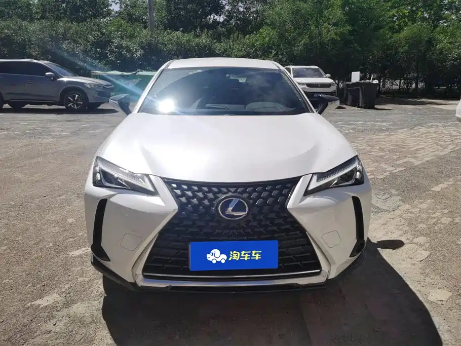 Lexus UX 2020 260h Explore Cool Edition фото 2