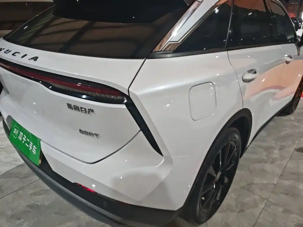 Venucia Big V 2022 2021 260T King Edition